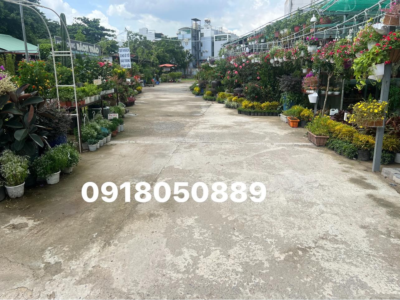 tên công ty của bạn